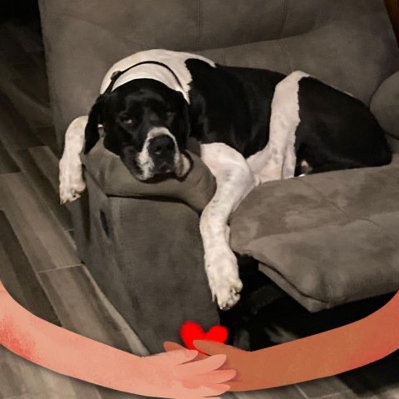 Meet your Posher, Wanda - Picture 1 of 1